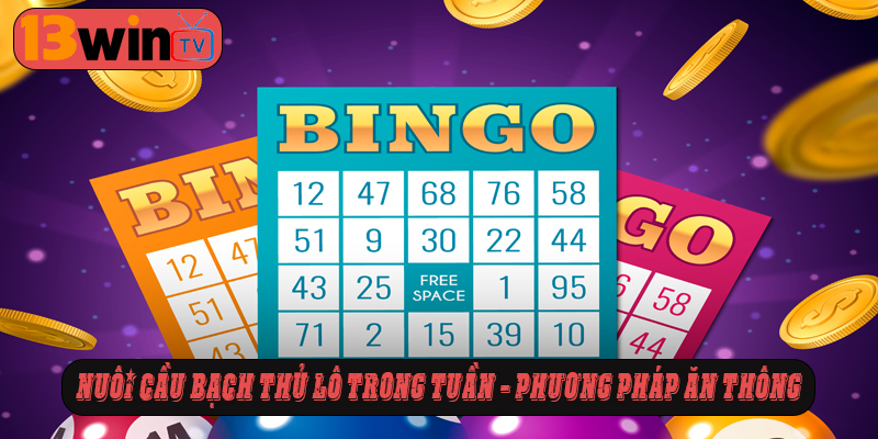 Nuôi cầu bạch thủ lô trong tuần - phương pháp ăn thông