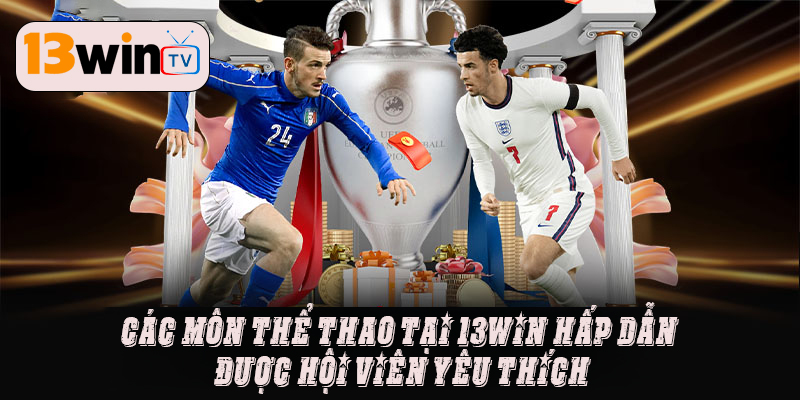 Các môn thể thao tại 13win hấp dẫn được hội viên yêu thích